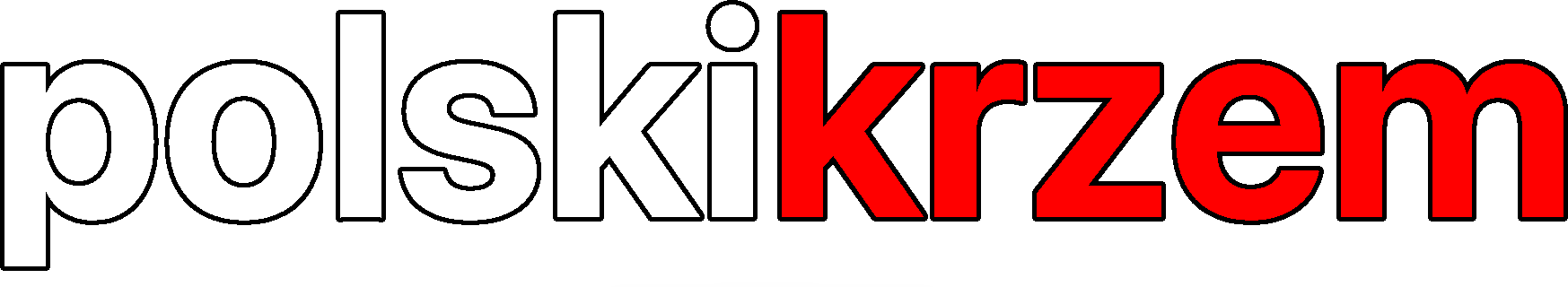 Polski Krzem Logo